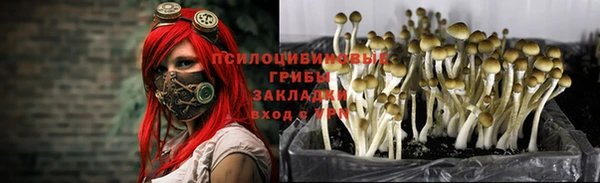 кокаин колумбия Дмитров