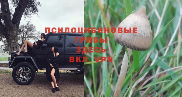 не бодяженный Дмитриев