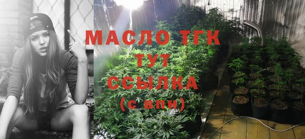 не бодяженный Дмитриев