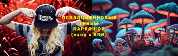 не бодяженный Дмитриев
