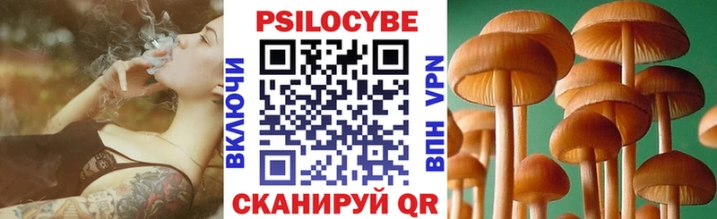 Галлюциногенные грибы Cubensis  Купить где  Котовск 
